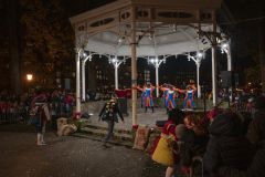 Intocht-Sinterklaas-Appingedam_5565