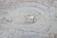 Lekkage-waterleiding-Hooiven-Delfzijl_7190