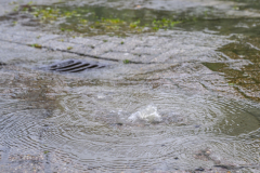 Lekkage-waterleiding-Hooiven-Delfzijl_7247