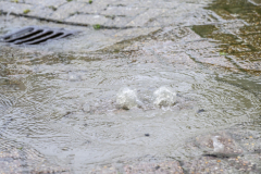 Lekkage-waterleiding-Hooiven-Delfzijl_7359