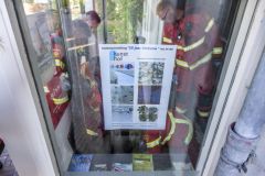 Waterlekkage-NoordelijkKunsthof-Appingedam_3131