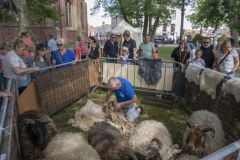 Coopluydenmarkt-Appingedam_5760