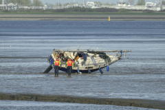 Zeiljacht-vast-op-Dollard_7142-kopie