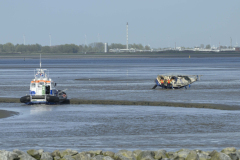 Zeiljacht-vast-op-Dollard_7165