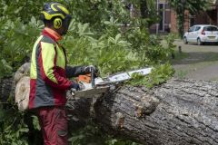 Zomerstorm-storm-Poly_1895
