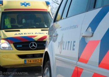 Archief: Richard Degenhart