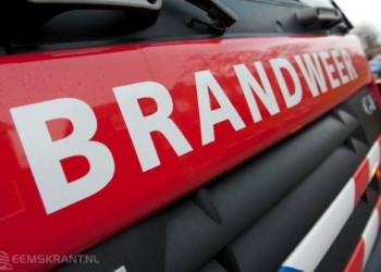 Archief: Richard Degenhart