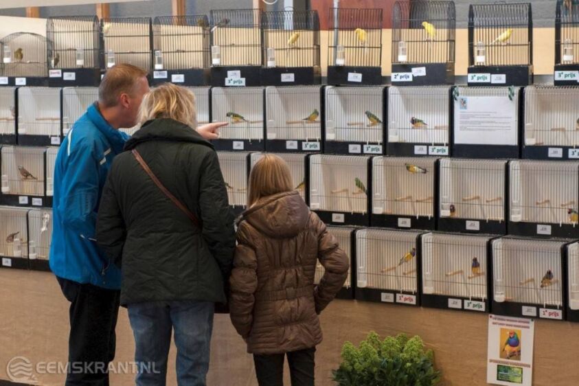 Kleurrijke vogeltentoonstelling bij Vogelvereniging Eemsmond in Delfzijl