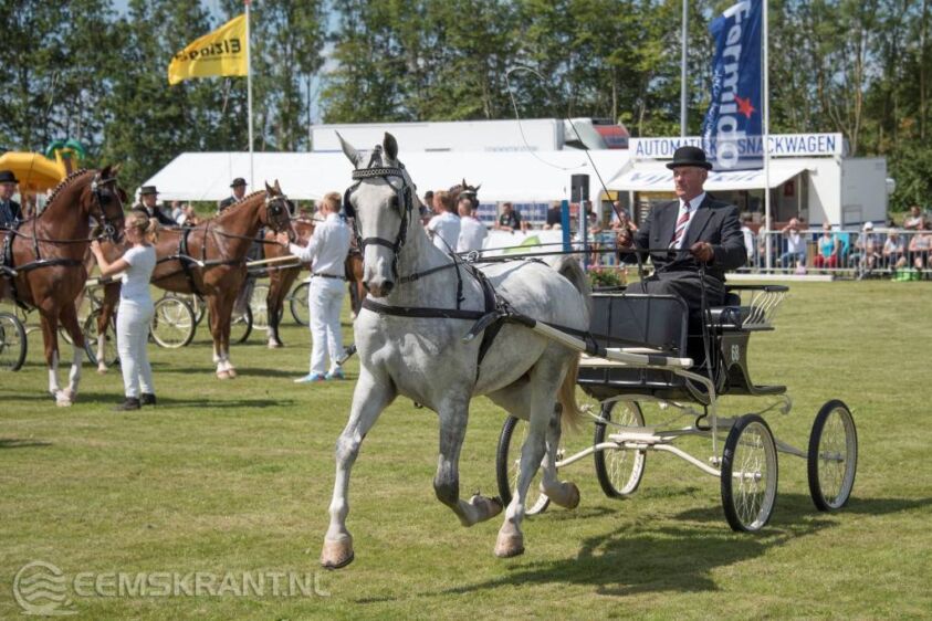 Paardendag Uithuizen georganiseerd door de VvV