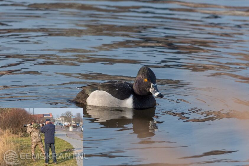 Foto's: Sander Smit