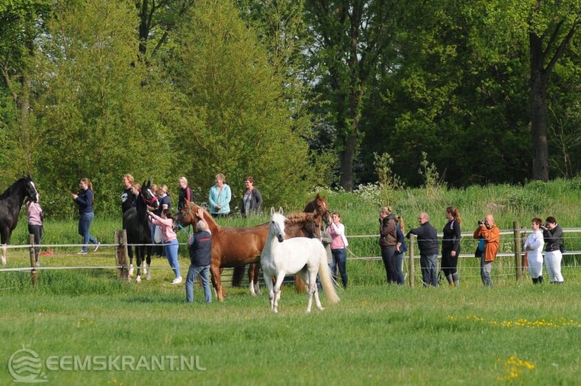 Foto's: Fred Verhoeff