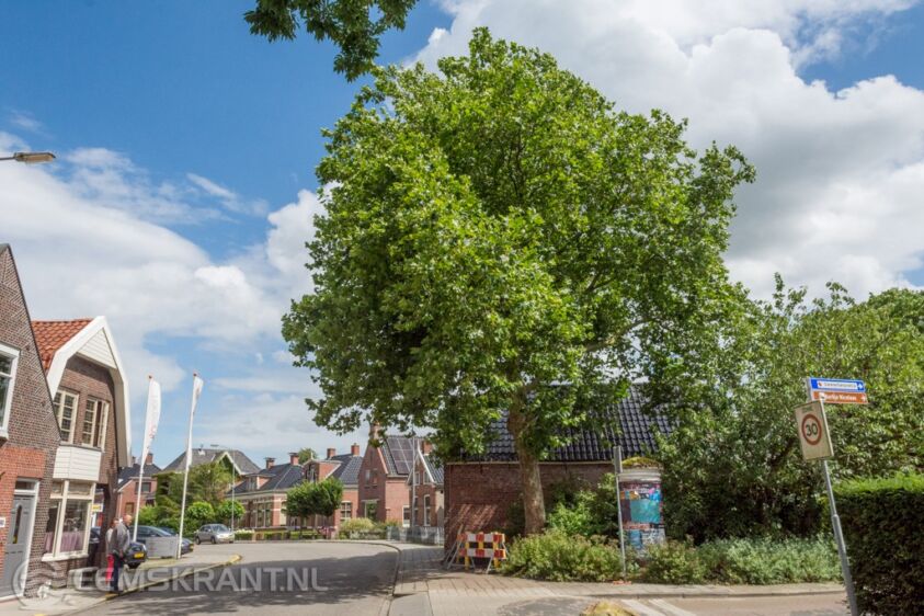 Foto: Sander Smit