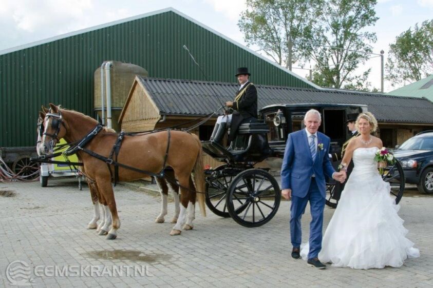 Foto's: Cobie Kruger