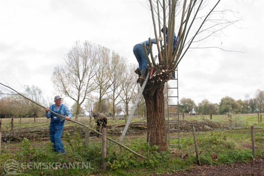 Landschapsbeheer zoekt vrijwilligers die de boom in durven