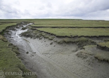 Foto archief: Omke Oudeman