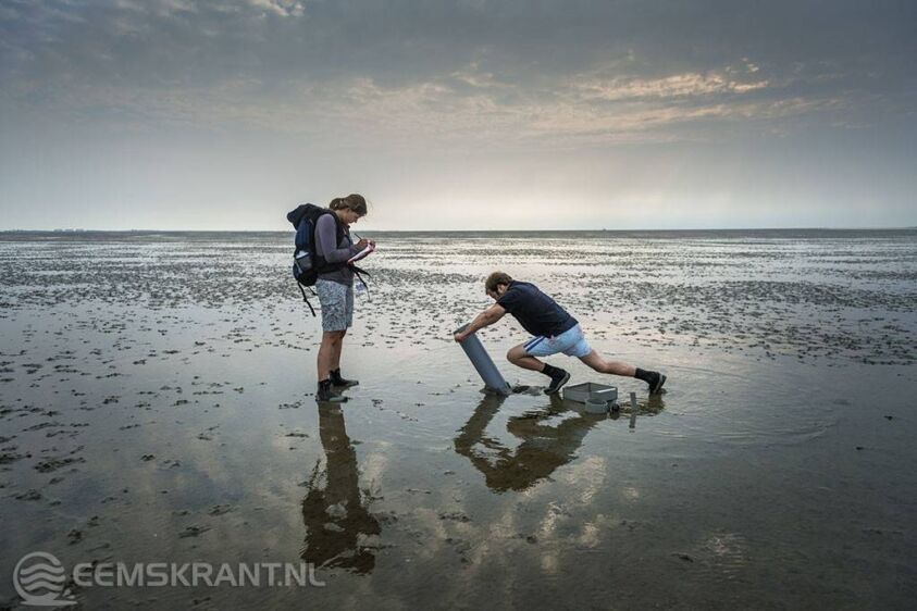 Foto: Kees van de Veen