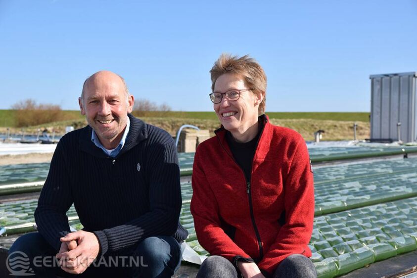 Directeuren voor veld Omega Green