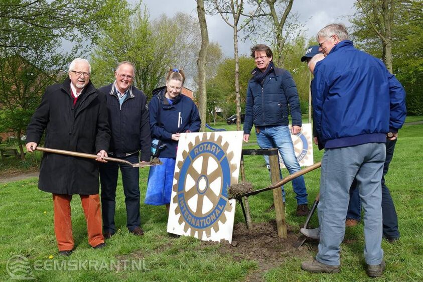 Bestuursleden Rotary planten samen met Jan Hylkema (linksvoor) de eerste boom