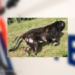 Foto: Politie Ommelanden Noord