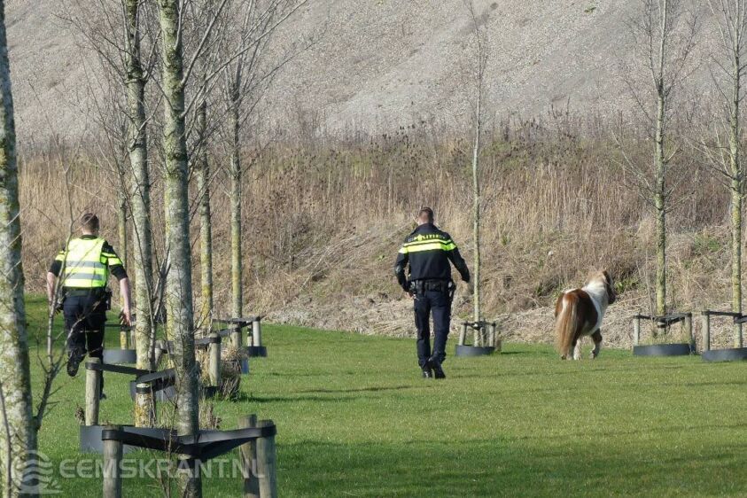 ingezonden