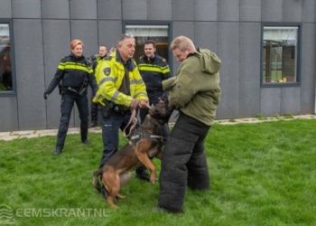 Foto's: Richard Degenhart, Niels Akkerman & Sander Smit