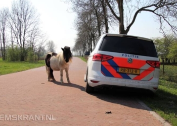 Ingezonden