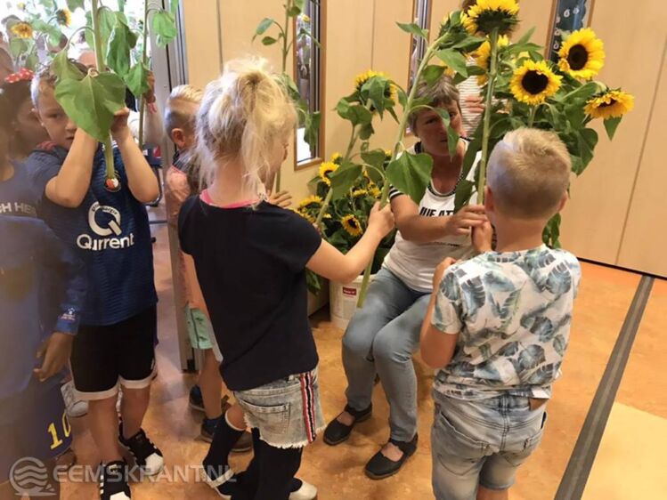 Juf Atty kreeg maar liefst 180 zonnebloemen.
