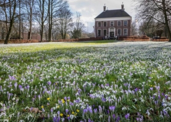 Foto: Geert Job Sevink