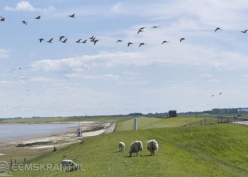 Foto: Groninger Landschap