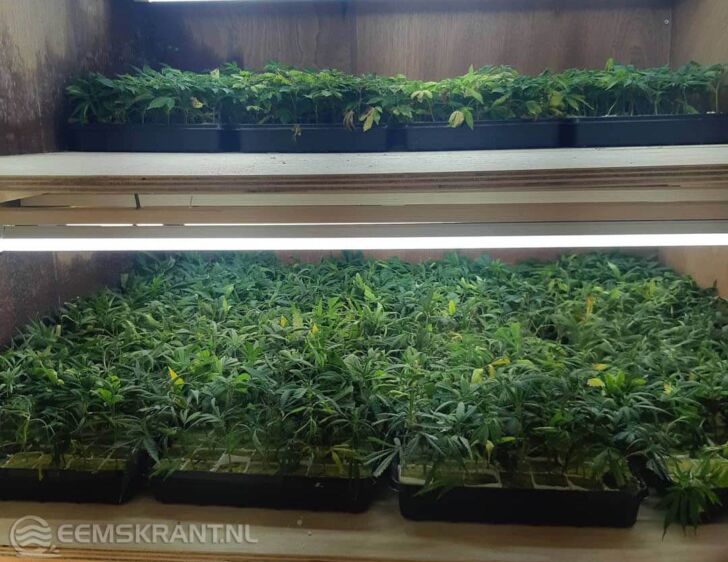 Foto: instagram Politie Ommelanden Midden
