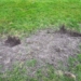 Graafschade in de zeedijk Foto: Waterschap Noorderzijlvest