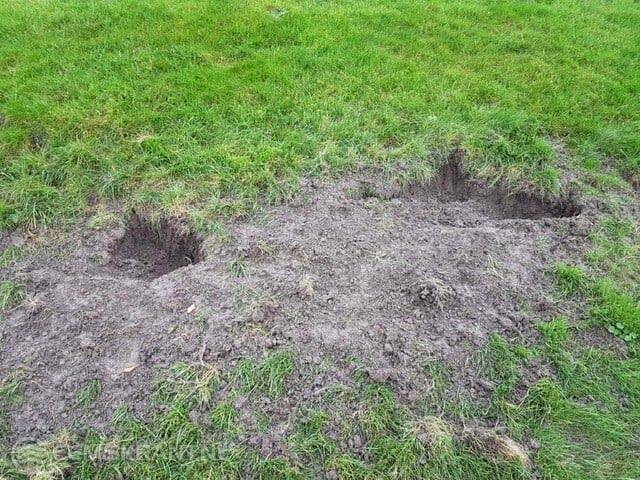 Graafschade in de zeedijk Foto: Waterschap Noorderzijlvest