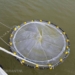 De kweekkorf, ontwikkeld door CIV Offshore & Shipping (foto: CIV Offshore & Shipping)