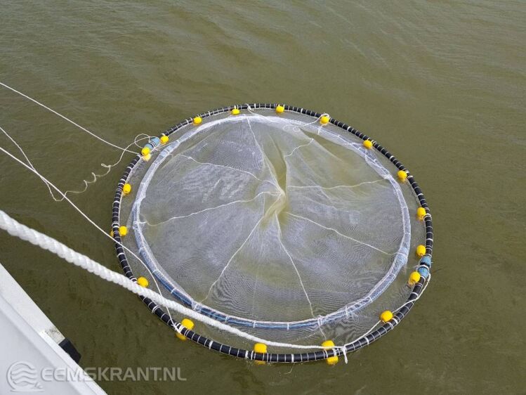 De kweekkorf, ontwikkeld door CIV Offshore & Shipping (foto: CIV Offshore & Shipping)