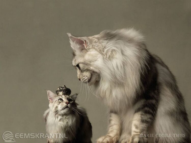 Foto: Marie Cécile Thijs