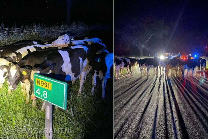 Foto: Politie