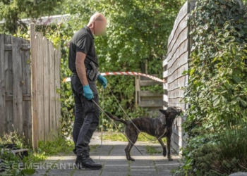 Politie deed onderzoek in de wijk