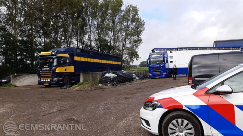 Foto: Flex team politie Groningen