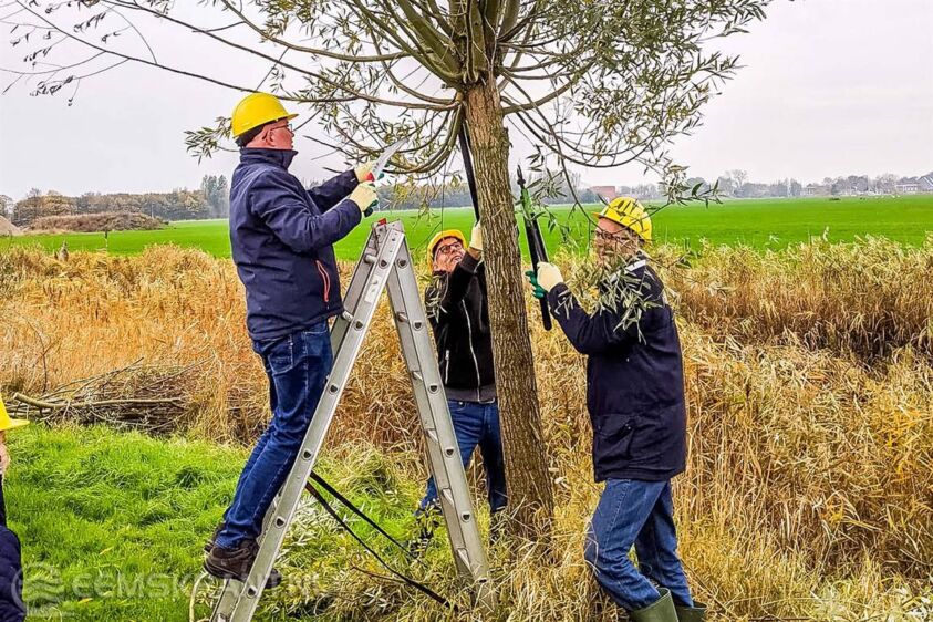 Henk Staghouwer Peter Hellinga en Pier Prins knotten wilg