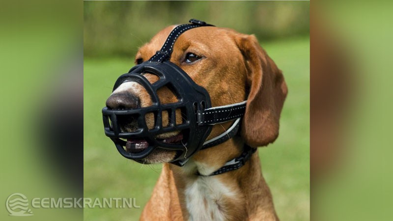Hond met een muilkorf niet de hond uit het verhaal
