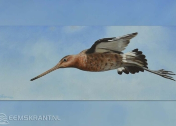 Schilderij van Frans Brommer - grutto