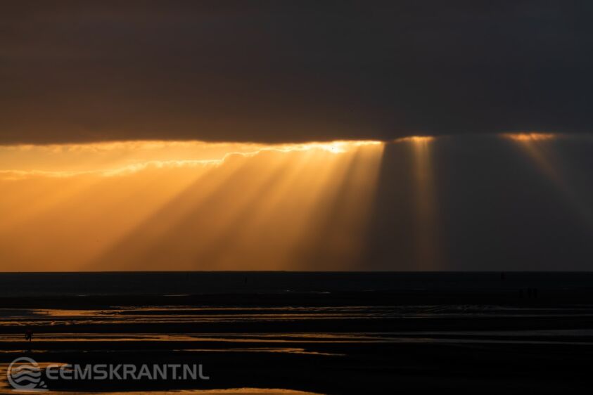 Foto: Unsplash/Vincent van Zalinge