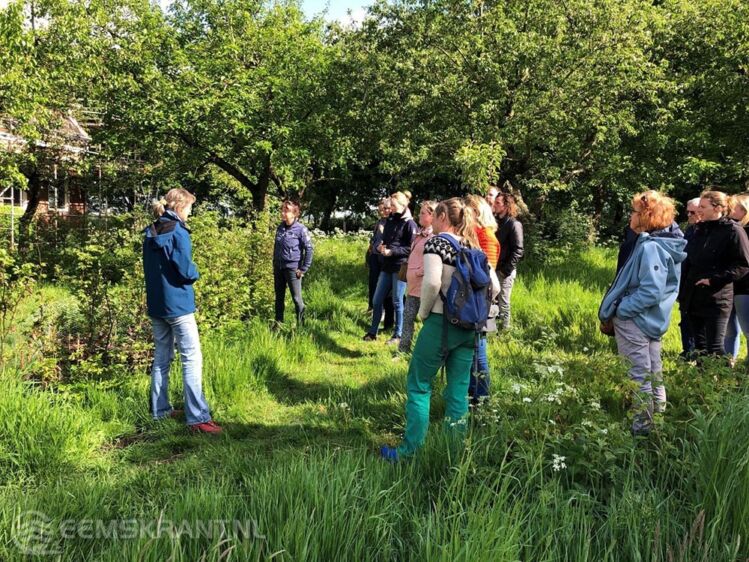 Foto: Marian van Dongen