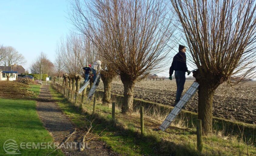 Foto: Landschapsbeheer Groningen