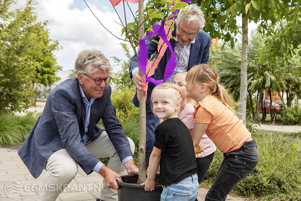 Op de foto nemen Evy, Elin en Noor de boom in ontvangst van directeur versterking van Nationaal Coördinator Groningen Ab van der Schans en wethouder Jan Menninga.