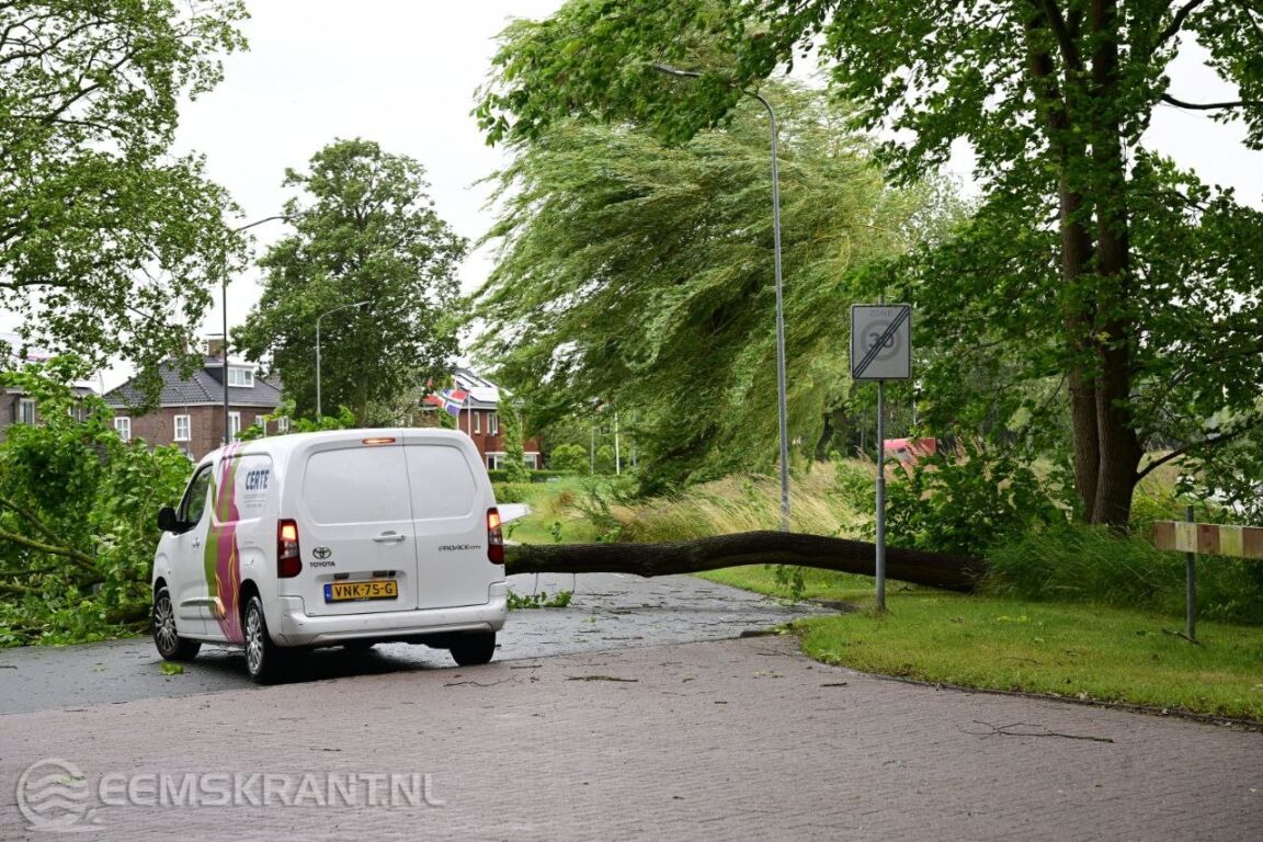 Foto: een omgevallen boom op de Rijksweg in Delfzijl