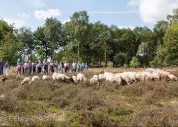 Foto: visitoost.nl