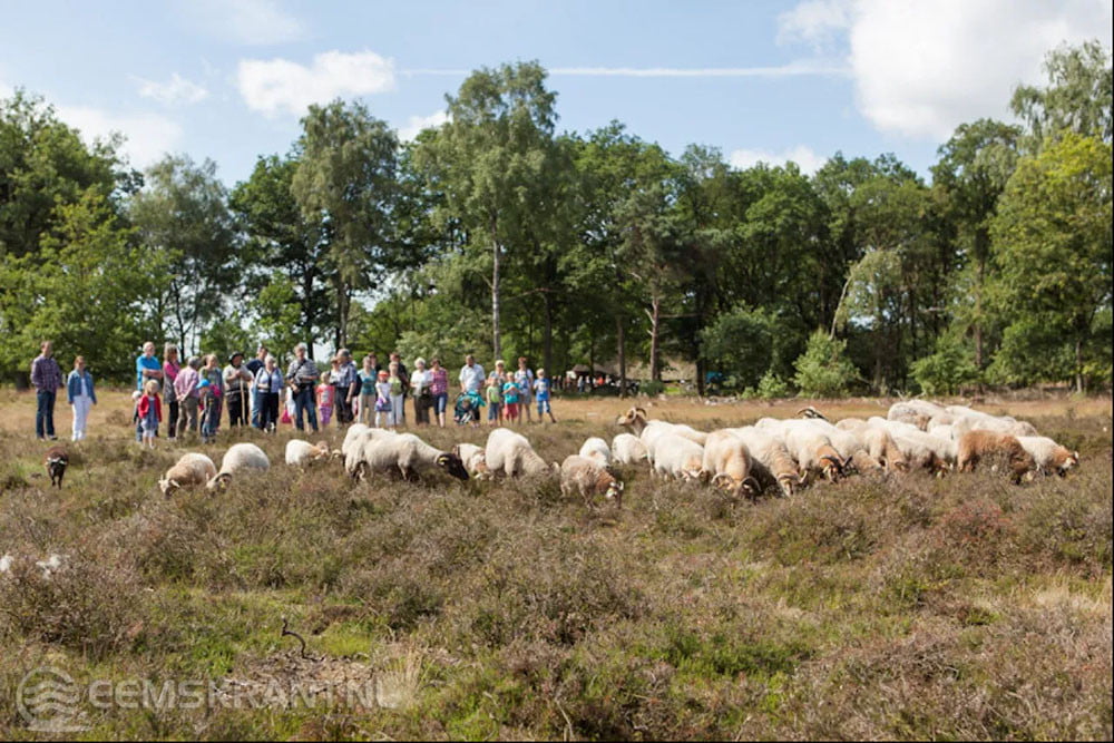 Foto: visitoost.nl