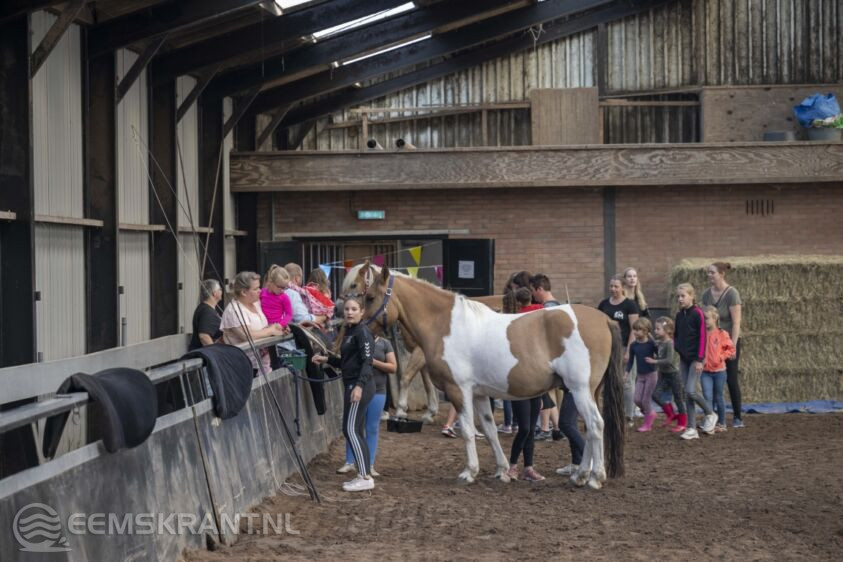 Geslaagde open manegedagen bij Voltigevereniging de Eemsrakkers