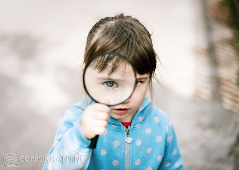 Photo by Elizaveta Dushechkina on Unsplash